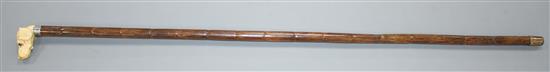 A walking stick, the ivory handle carved as a dogs head with glass eyes, silver collar, London 1918, overall length 84cm